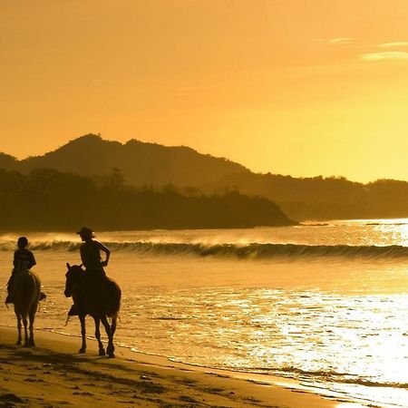Pitaya Lodge Потреро Экстерьер фото